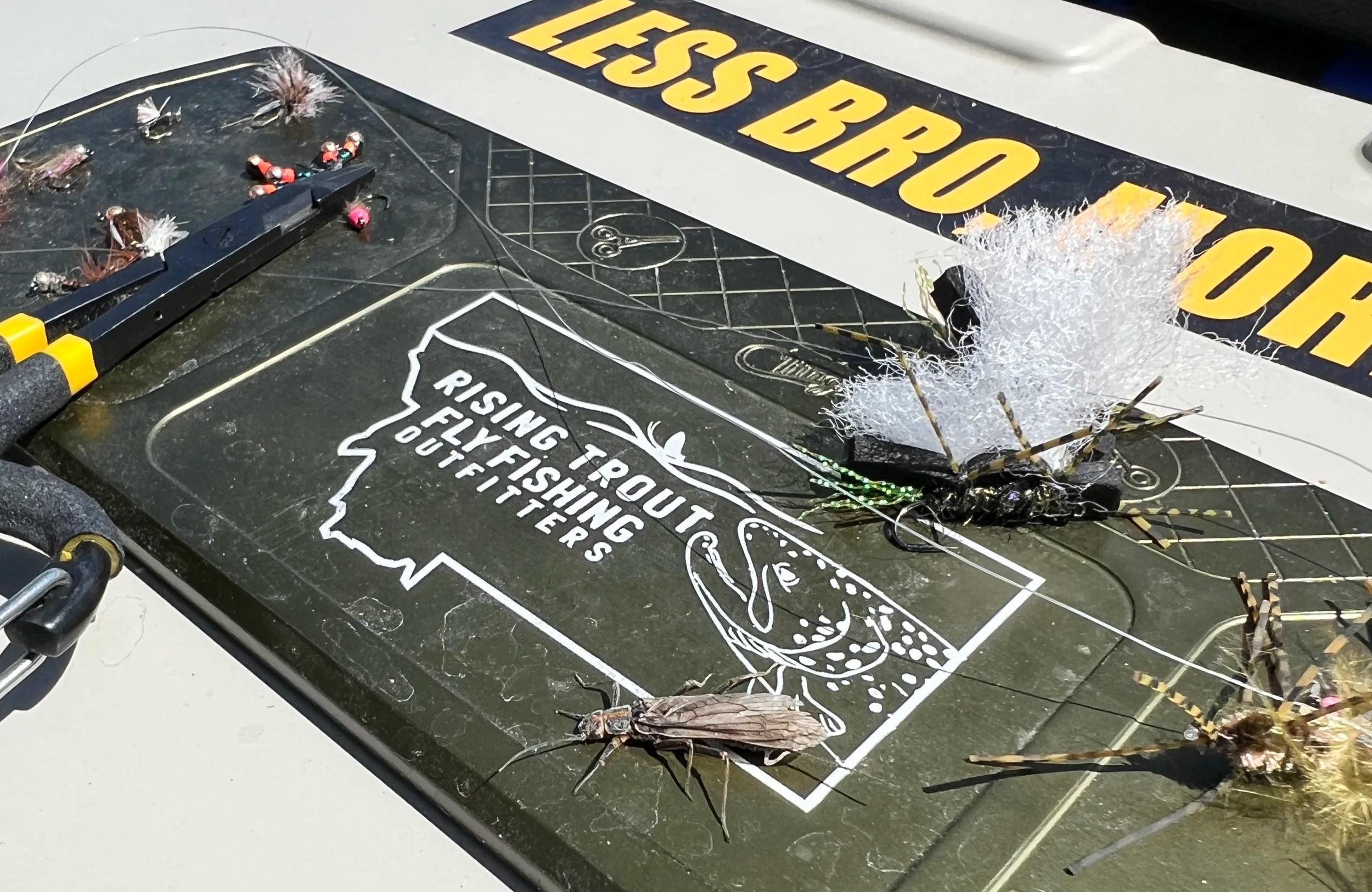 Best Flies for the Upper Madison River in Spring (Montana Fly
